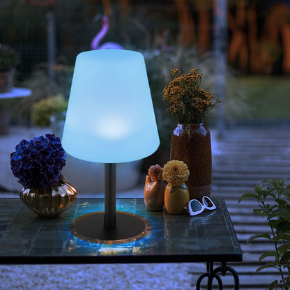 Minimalist Modern Table Lamp