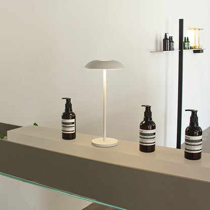 Lampada di Eleganza in Ferro