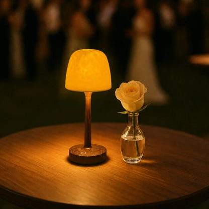 Aurora™ Northern Lights Lamp
