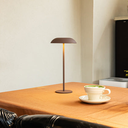 Lampada di Eleganza in Ferro