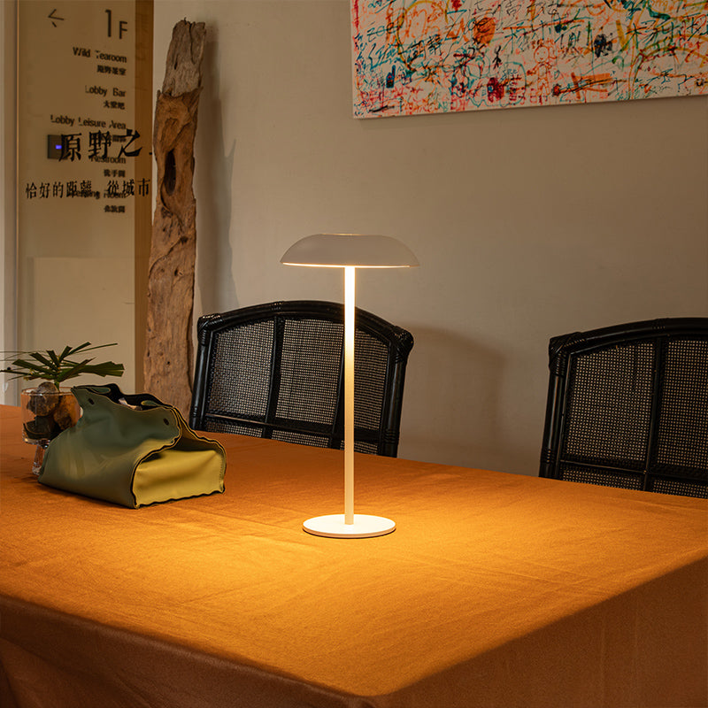 Lampada di Eleganza in Ferro