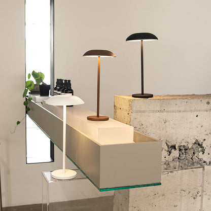 Lampada di Eleganza in Ferro