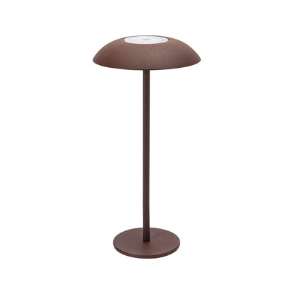 Lampada di Eleganza in Ferro